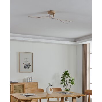EGLO Plafonnier, Applique murale / Plafonnier Luminaires Eglo LED Brun clair