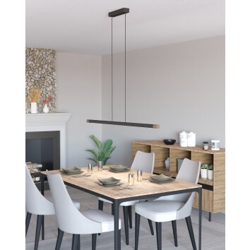 LISCIANA Suspension Luminaires Eglo LED Gris