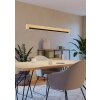 CAMACHO Suspension Luminaires Eglo LED Brun, Noir