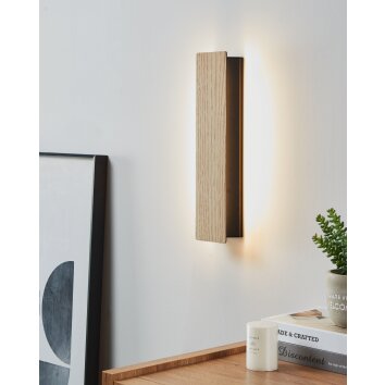 ZUBIALDE Applique murale Luminaires Eglo LED Brun, Noir