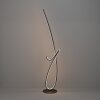 CARDONCITO Lampadaire Luminaires Eglo LED Noir, Changeur de couleurs