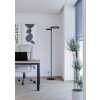 EGLO Lampadaire Luminaires Eglo LED Noir