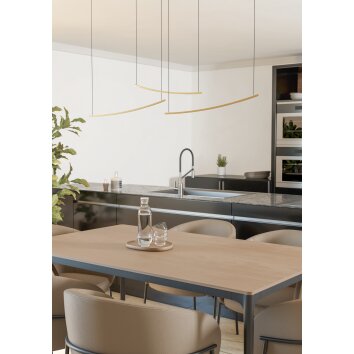 VILLEGGI Suspension Luminaires Eglo LED Laiton, Changeur de couleurs