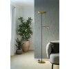 CONIVARINO Lampadaire Luminaires Eglo LED Laiton, Noir