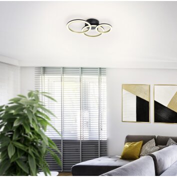 CALLIERA Plafonnier Luminaires Eglo LED Laiton, Noir