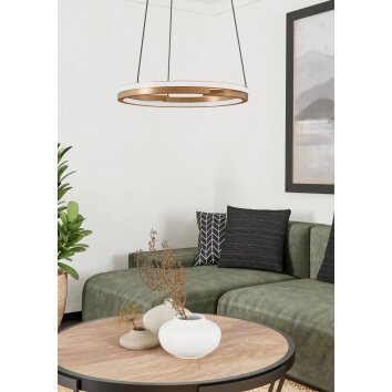 MEZZOMONTE Suspension Luminaires Eglo LED Bronze, Noir, Télécommandes