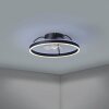mit Ventilateur de plafond lumineux Luminaires Eglo LED Noir, Télécommandes, Changeur de couleurs