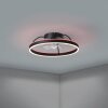 mit Ventilateur de plafond lumineux Luminaires Eglo LED Noir, Télécommandes, Changeur de couleurs