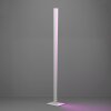 BOLOGNANO-Z Lampadaire Luminaires Eglo LED Gris, Changeur de couleurs