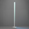 BOLOGNANO-Z Lampadaire Luminaires Eglo LED Gris, Changeur de couleurs