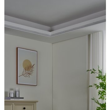 NEON-STRIPE-Z Bande LED Luminaires Eglo LED Blanc, Changeur de couleurs