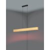 ANCHORENA-Z Suspension Luminaires Eglo LED Brun, Noir, Changeur de couleurs