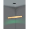 ANCHORENA-Z Suspension Luminaires Eglo LED Brun, Noir, Changeur de couleurs