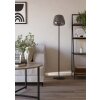 ALFERO-Z Lampadaire Luminaires Eglo LED Noir, Changeur de couleurs