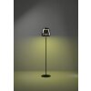 ALFERO-Z Lampadaire Luminaires Eglo LED Noir, Changeur de couleurs