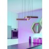 FOLCINO-Z Suspension Luminaires Eglo LED Bronze, Noir, Changeur de couleurs