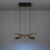 FOLCINO-Z Suspension Luminaires Eglo LED Bronze, Noir, Changeur de couleurs