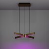 FOLCINO-Z Suspension Luminaires Eglo LED Bronze, Noir, Changeur de couleurs