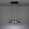 FOLCINO-Z Suspension Luminaires Eglo LED Bronze, Noir, Changeur de couleurs