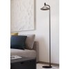 CONOMAVILLA-Z Lampadaire Luminaires Eglo LED Noir, Changeur de couleurs