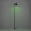 CONOMAVILLA-Z Lampadaire Luminaires Eglo LED Noir, Changeur de couleurs