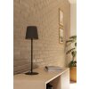 FIORANA Lampe à poser Luminaires Eglo Noir