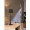 FIORANA Lampe à poser Luminaires Eglo Noir