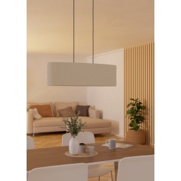 FEBRES Suspension Luminaires Eglo Noir