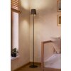 FIORANA Lampadaire Luminaires Eglo Noir