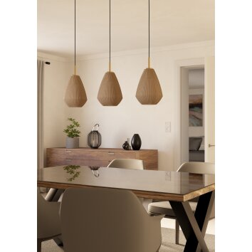 CAPRAROLA Suspension Luminaires Eglo Laiton