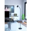 CARLO Lampadaire Luminaires Eglo Noir