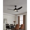 TUNITAS Ventilateur de plafond lumineux Luminaires Eglo LED Noir, Télécommandes, Changeur de couleurs