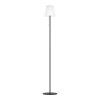 SCORDIANO-L Lampadaire Luminaires Eglo LED Noir, Changeur de couleurs