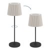 LEONERO Lampe à poser Luminaires Eglo LED Noir, Télécommandes