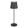 LEONERO Lampe à poser Luminaires Eglo LED Noir, Télécommandes