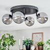Chehalis Plafonnier, Boule lumineuse Fumé, 4 lumières