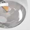 Chehalis Plafonnier, Boule lumineuse Fumé, 4 lumières