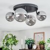 Chehalis Plafonnier, Boule lumineuse Fumé, 4 lumières