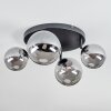 Chehalis Plafonnier, Boule lumineuse Fumé, 4 lumières
