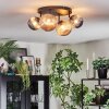 Chehalis Plafonnier, Boule lumineuse Ambre, Fumé, 4 lumières