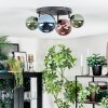 Chehalis Plafonnier, Boule lumineuse Bleu, Vert, Cuivré, 4 lumières