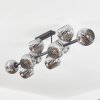 Ripoll Plafonnier, Boule lumineuse Chrome, Fumé, 10 lumières