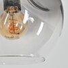 Ripoll Boule lumineuse, Lampadaire Ambre, Clair, Fumé, 5 lumières