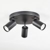 Foren Plafonnier, Spot de plafond LED Noir, 3 lumières, Changeur de couleurs Foren Plafonnier, Spot de plafond LED Noir, 3 lumières, Changeur de couleurs
