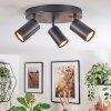 Foren Plafonnier, Spot de plafond LED Noir, 3 lumières, Changeur de couleurs Foren Plafonnier, Spot de plafond LED Noir, 3 lumières, Changeur de couleurs