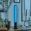 Delan Lampe à poser LED Noir, 1 lumière, Changeur de couleurs