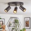 Foren Plafonnier, Spot de plafond LED Noir, 3 lumières, Changeur de couleurs Foren Plafonnier, Spot de plafond LED Noir, 3 lumières, Changeur de couleurs