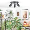 Foren Plafonnier, Spot de plafond LED Noir, 3 lumières, Changeur de couleurs Foren Plafonnier, Spot de plafond LED Noir, 3 lumières, Changeur de couleurs