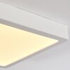 Finsrud Luminaire de salle de bain, Plafonnier, Panel LED Blanc, 1 lumière Finsrud Luminaire de salle de bain, Plafonnier, Panel LED Blanc, 1 lumière