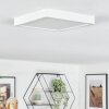Finsrud Luminaire de salle de bain, Plafonnier, Panel LED Blanc, 1 lumière Finsrud Luminaire de salle de bain, Plafonnier, Panel LED Blanc, 1 lumière